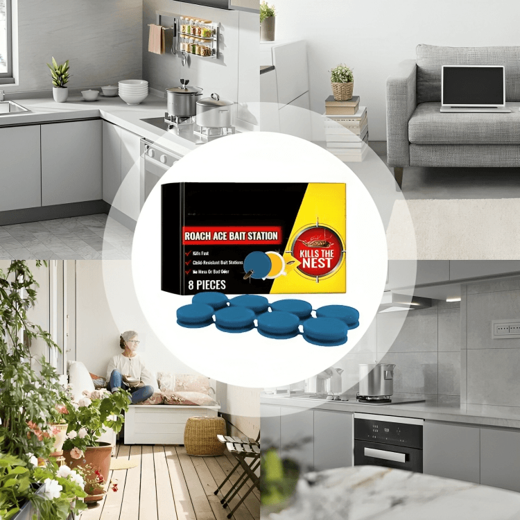 Frendorf |  (3x (8 Stück) | Super-Schabenfalle