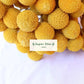 Frendorf | Gelber Ball