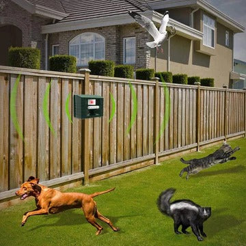 Frendorf | Specht Ultraschallvertreiber für effektive Vogelkontrolle - Befreien Sie sich von Spechten