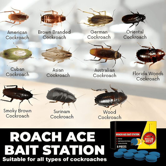 Frendorf |  (3x (8 Stück) | Super-Schabenfalle