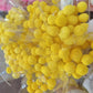 Frendorf | Gelber Ball