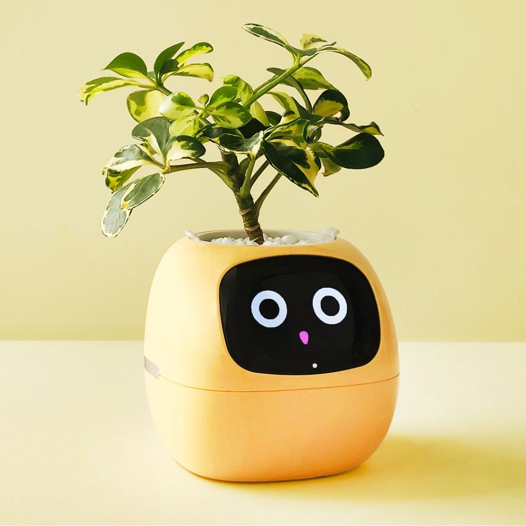 Frendorf | BloomBot | Smart Pflanzentopf
