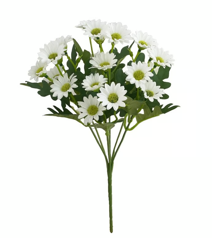 Frendorf | AutumnBloom – Dauerhafte Herbstpracht ohne Pflege!