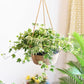 Frendorf | JuteNest Hängender Jutekorb für Pflanzen | Handgewebt | Boho-Stil | Ideal für Innen & Außen