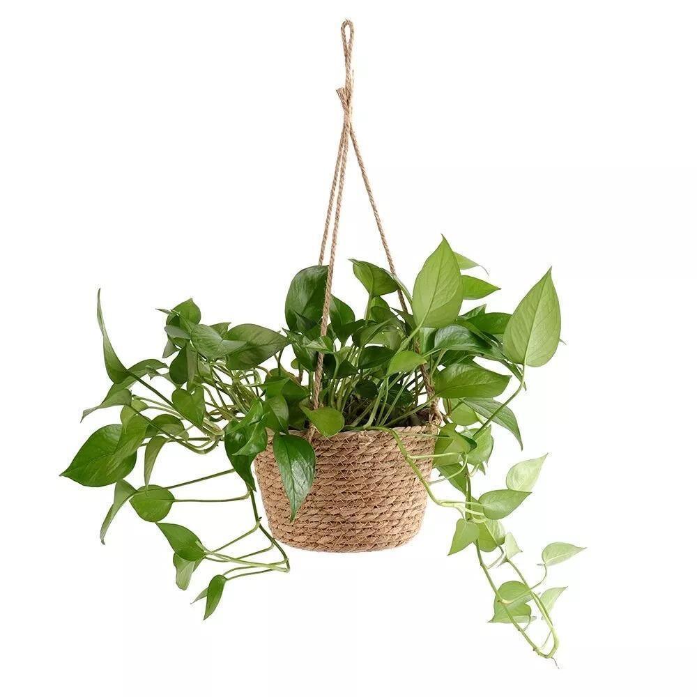 Frendorf | JuteNest Hängender Jutekorb für Pflanzen | Handgewebt | Boho-Stil | Ideal für Innen & Außen