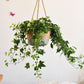 Frendorf | JuteNest Hängender Jutekorb für Pflanzen | Handgewebt | Boho-Stil | Ideal für Innen & Außen