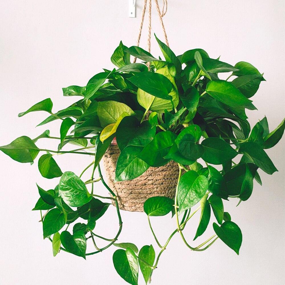 Frendorf | JuteNest Hängender Jutekorb für Pflanzen | Handgewebt | Boho-Stil | Ideal für Innen & Außen