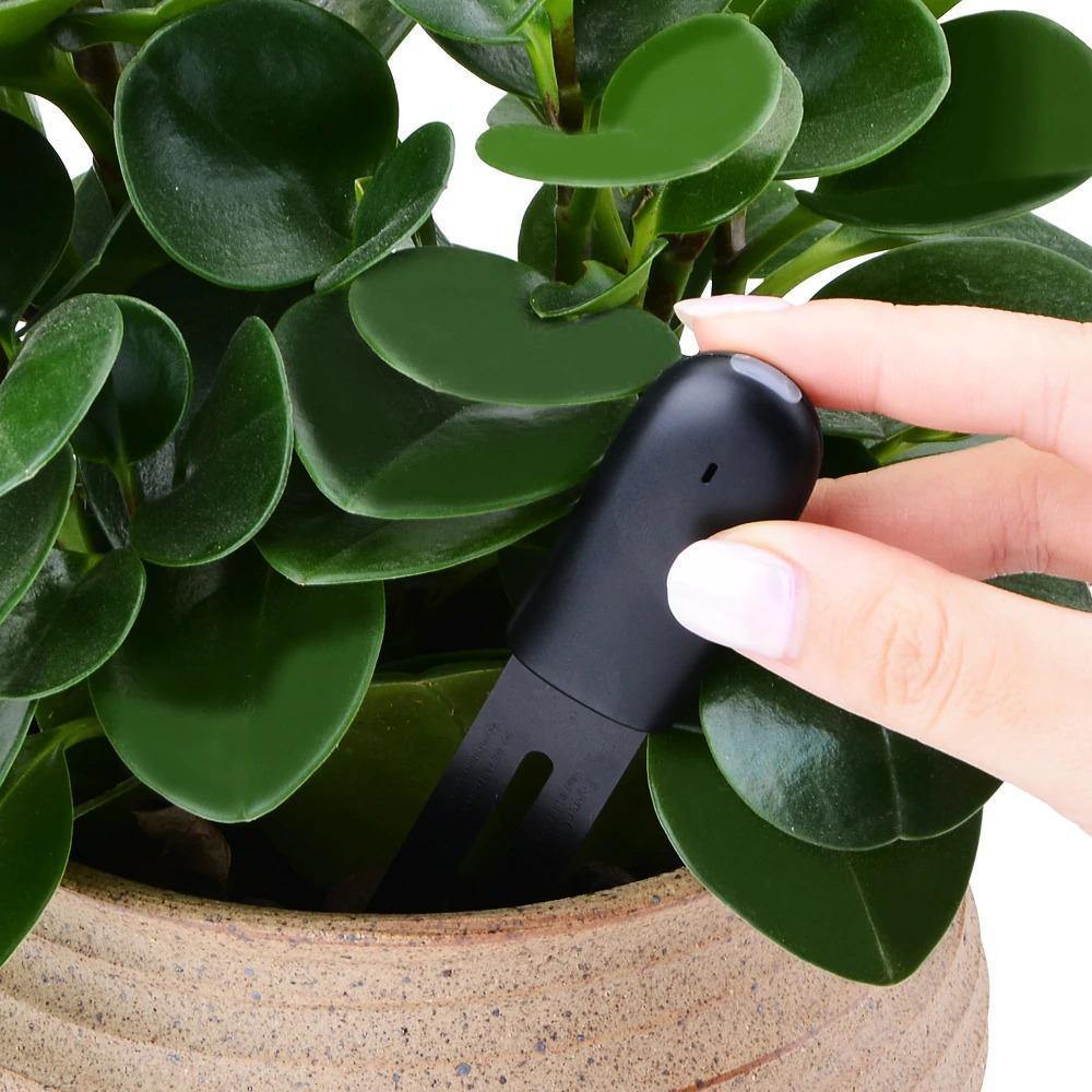 Frendorf | GrowSense Intelligenter Pflanzensensor | Smarter Wasserstandsanzeiger & Pflanzengesundheitsmesser