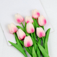 Lebensechte Tulpensträuße für jeden Anlass - Alyssa