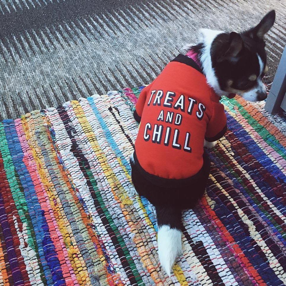 Frendorf | "Treats And Chill" Hund & Katze T-Shirt