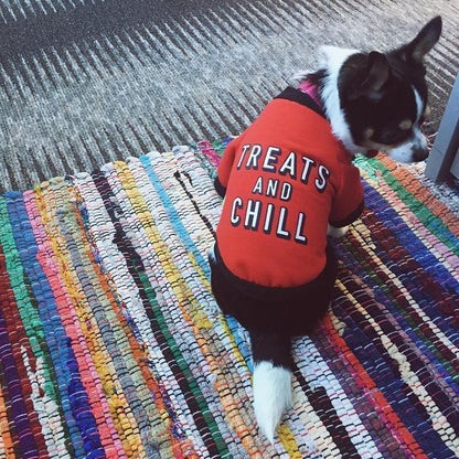 Frendorf | "Treats And Chill" Hund & Katze T-Shirt