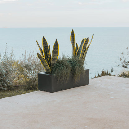 Frendorf | Elegante Blumentopf, der den Raum beleben wird