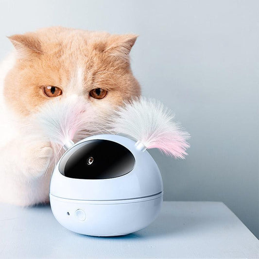 360 Grad Rotierendes Elektrisches Katzenspielzeug