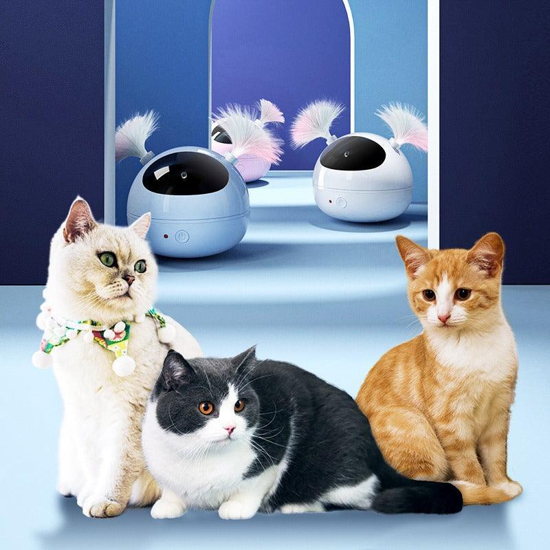 360 Grad Rotierendes Elektrisches Katzenspielzeug