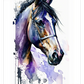 Frendorf | Lila Pferd Aquarell Wandkunst