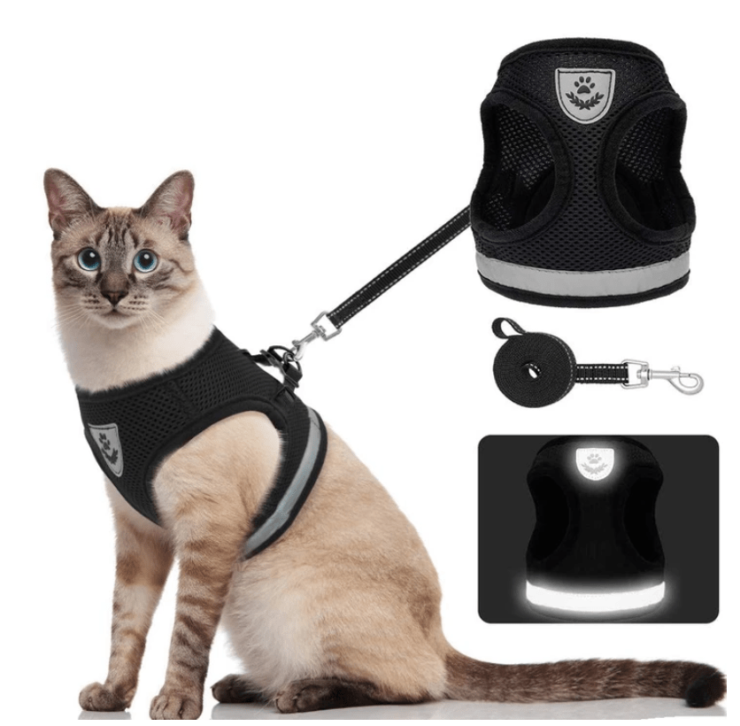 Frendorf | ADVENTURE HARNESS – Ausbruchsicheres Katzengeschirr mit Leine & reflektierenden Elementen