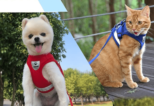 Frendorf | ADVENTURE HARNESS – Ausbruchsicheres Katzengeschirr mit Leine & reflektierenden Elementen