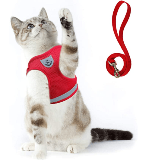 Frendorf | ADVENTURE HARNESS – Ausbruchsicheres Katzengeschirr mit Leine & reflektierenden Elementen