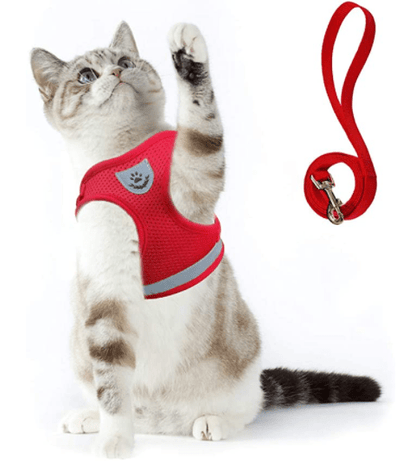 Frendorf | ADVENTURE HARNESS – Ausbruchsicheres Katzengeschirr mit Leine & reflektierenden Elementen