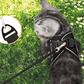 Frendorf | ADVENTURE HARNESS – Ausbruchsicheres Katzengeschirr mit Leine & reflektierenden Elementen
