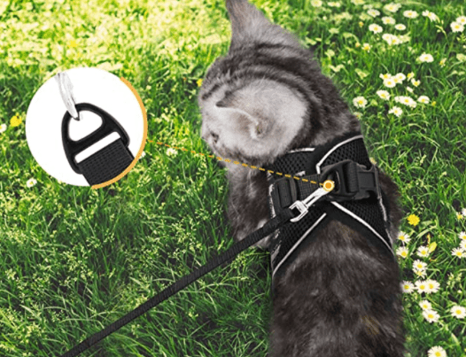 Frendorf | ADVENTURE HARNESS – Ausbruchsicheres Katzengeschirr mit Leine & reflektierenden Elementen
