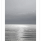 Frendorf | Moonlit Ocean Gray III Wandkunst