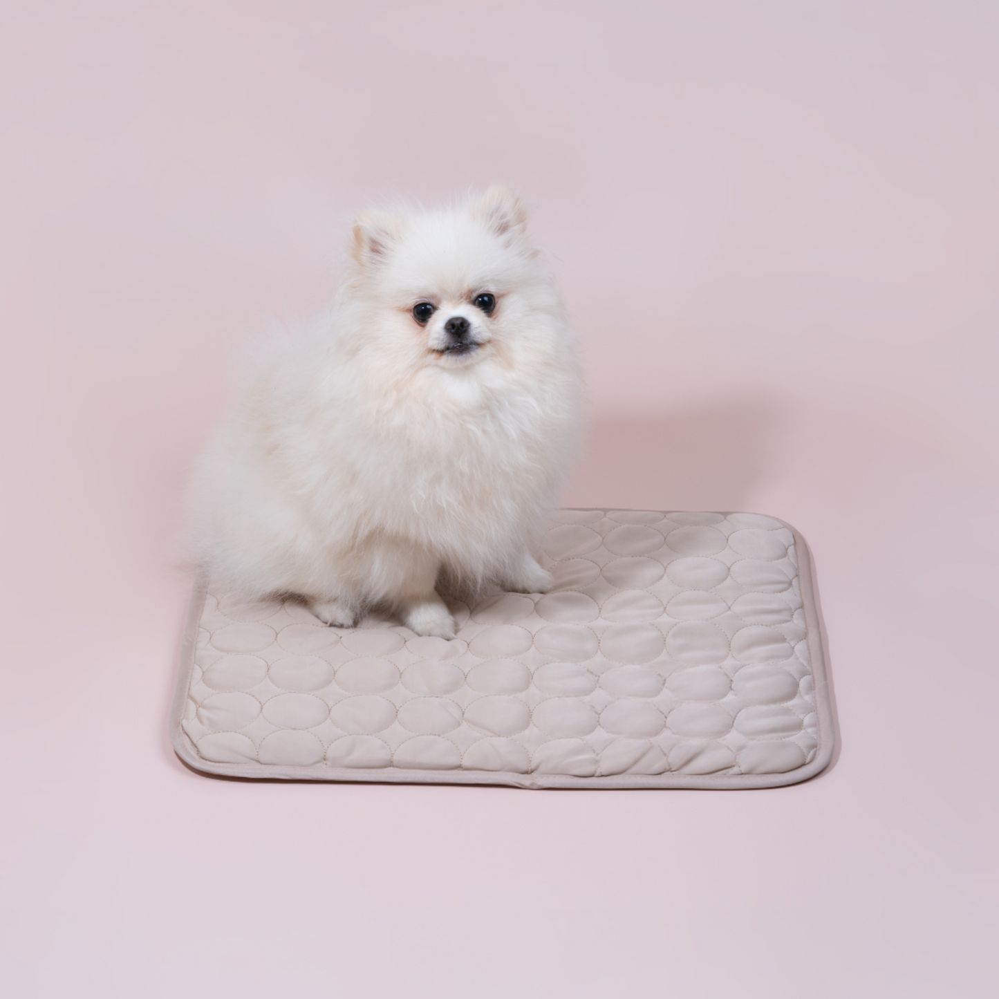 Frendorf | Innovative Kühlmatte für Hunde (4x Kühlkraft) - ChillComfort