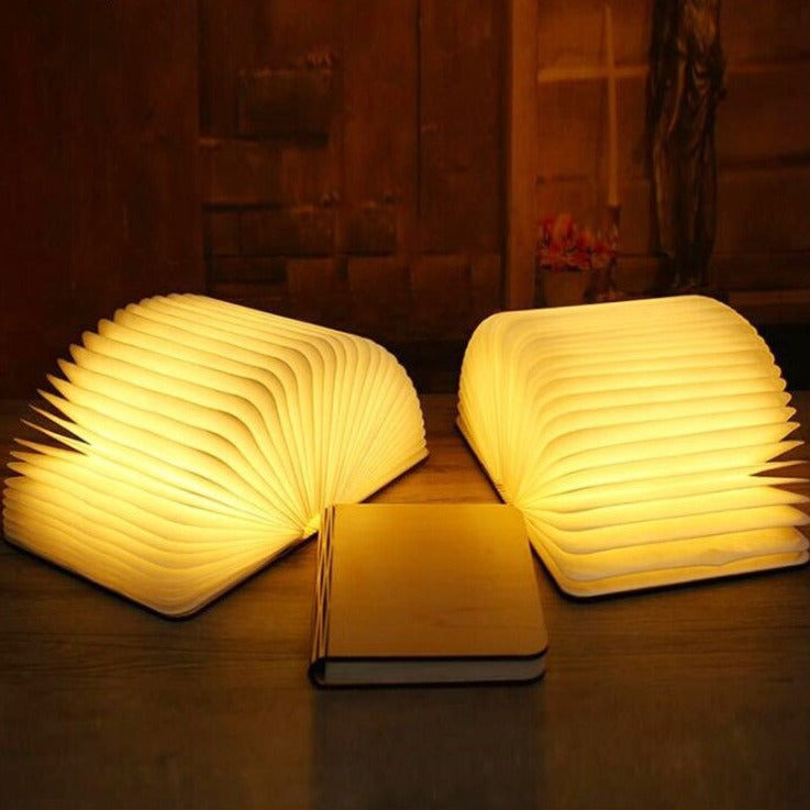 Originale Buch Tischlampe