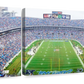 Frendorf | NFL-Football im Ericsson Stadium Charlotte Wandkunst