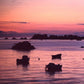 Frendorf | Leuchtturm bei Sonnenuntergang Ile Vierge Finistere Wandkunst