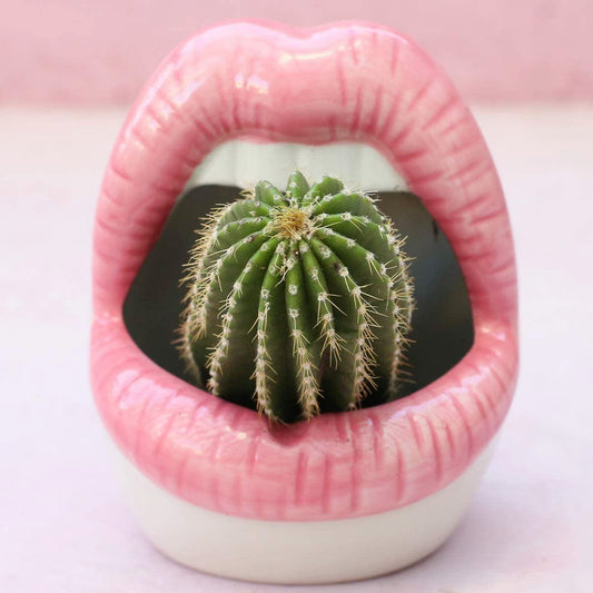 Lips Blumen Topf