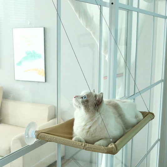 Hängendes Bett für Katzen