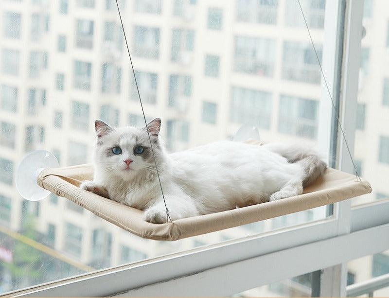 Hängendes Bett für Katzen