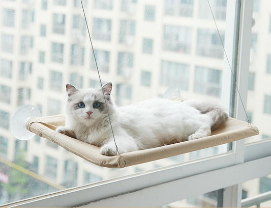 Hängendes Bett für Katzen