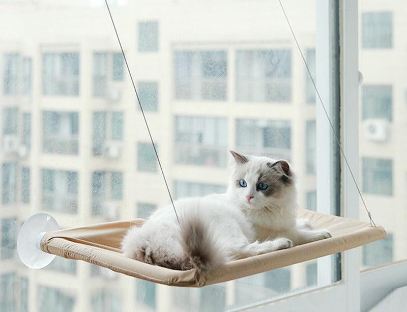 Hängendes Bett für Katzen