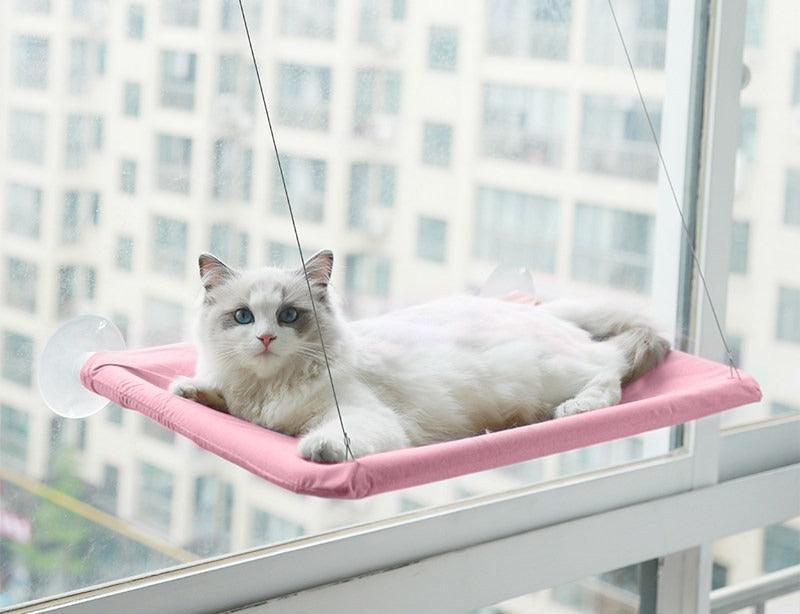 Hängendes Bett für Katzen