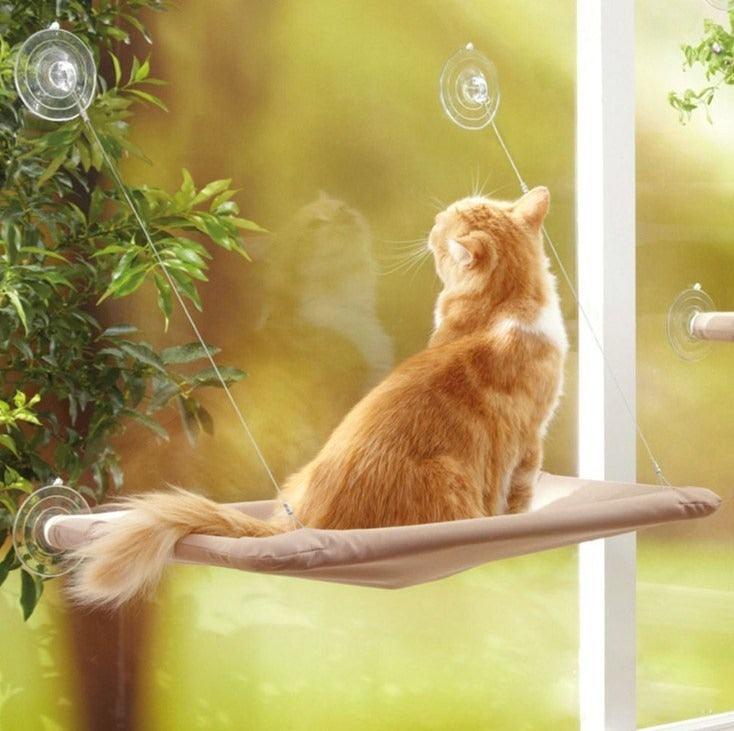 Hängendes Bett für Katzen