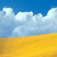 Frendorf | Lone Oak Tree At Hillside In Paso Robles Wandkunst