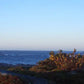 Frendorf | Louisbourg Leuchtturm An Der Küste Wandkunst