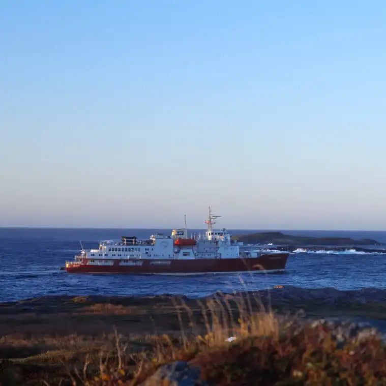 Frendorf | Louisbourg Leuchtturm An Der Küste Wandkunst