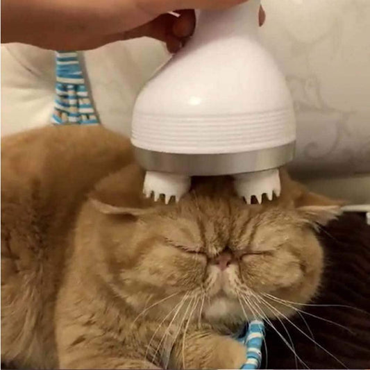Massagegerät für Katzen
