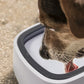Frendorf | HydraPaw Anti-Splash Wassernapf für Hunde | Auslaufsicher | Rutschfest | Für Zuhause & Unterwegs