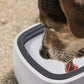 Splash Poof Wassernapf für Hunde