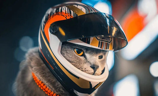 Sorgen Sie mit unserem Motorradhelm für Haustiere für die Sicherheit und den Stil Ihres Haustiers!
