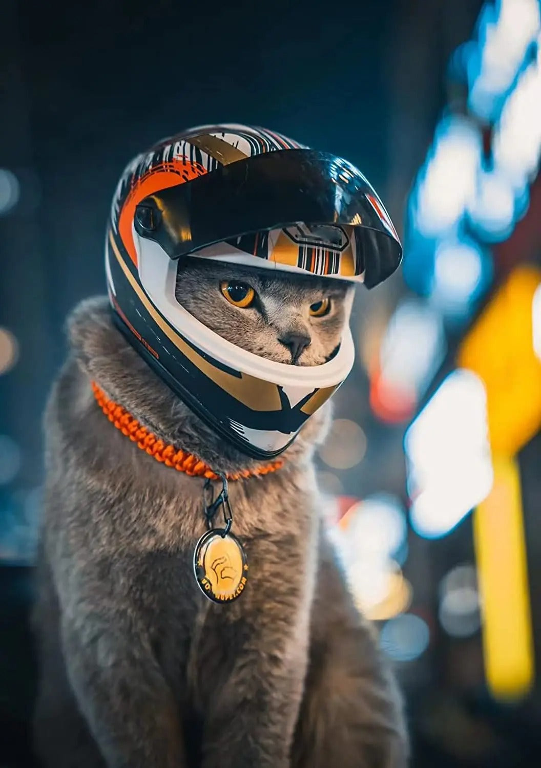 Frendorf | PetShield Motorradhelm für Haustiere | Sicherheit & Stil | Leicht & Robust | Für Hunde & Katzen