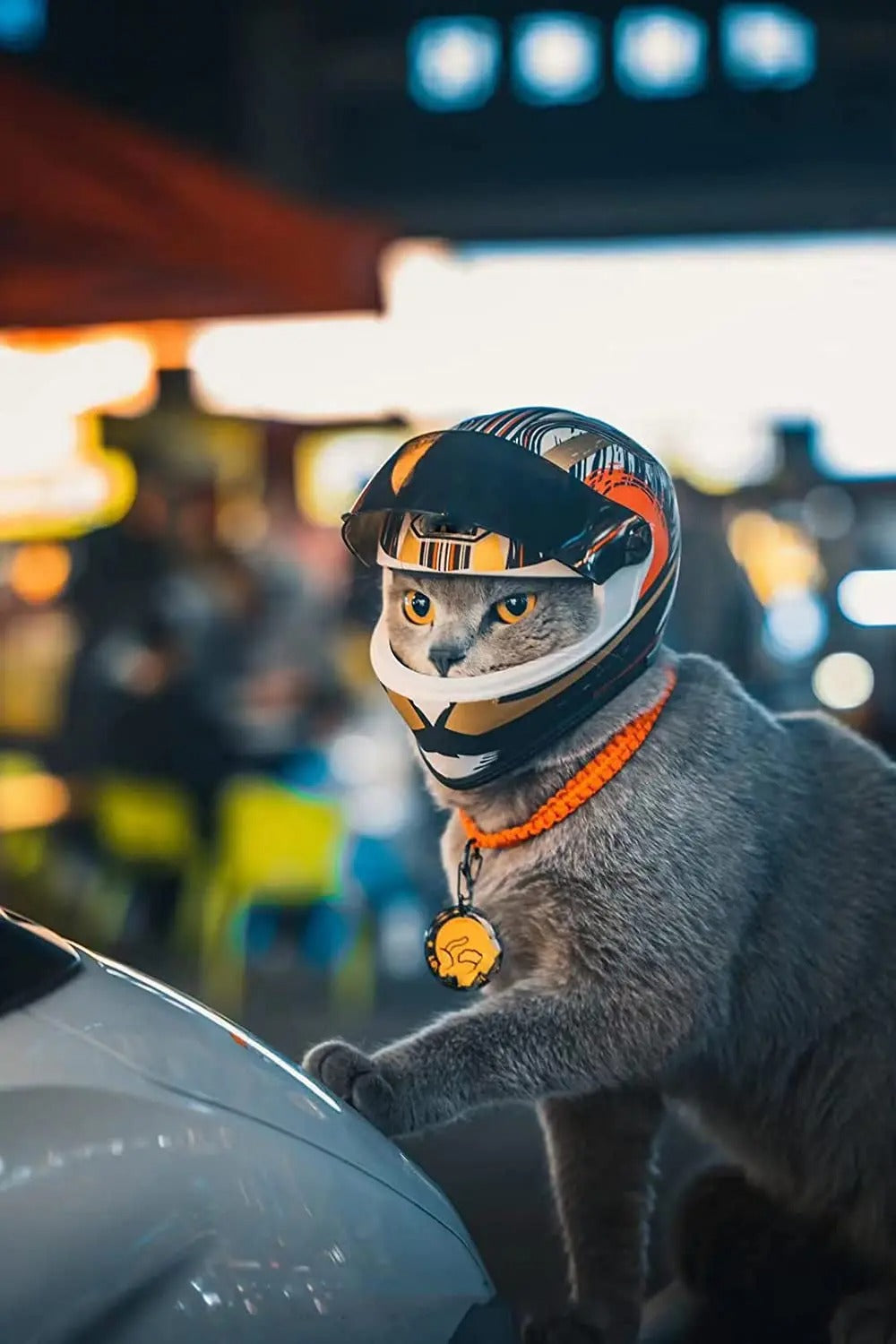 Frendorf | PetShield Motorradhelm für Haustiere | Sicherheit & Stil | Leicht & Robust | Für Hunde & Katzen