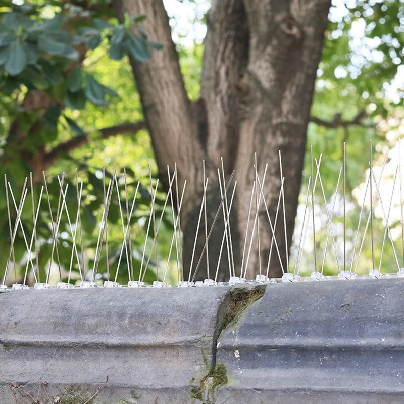 Frendorf | 1PC Edelstahl Taubenspikes und Vogelabwehrmittel 25cm Balkon Anti-Vogel Abwehrstachel Nagel Kit Schädlingsbekämpfung