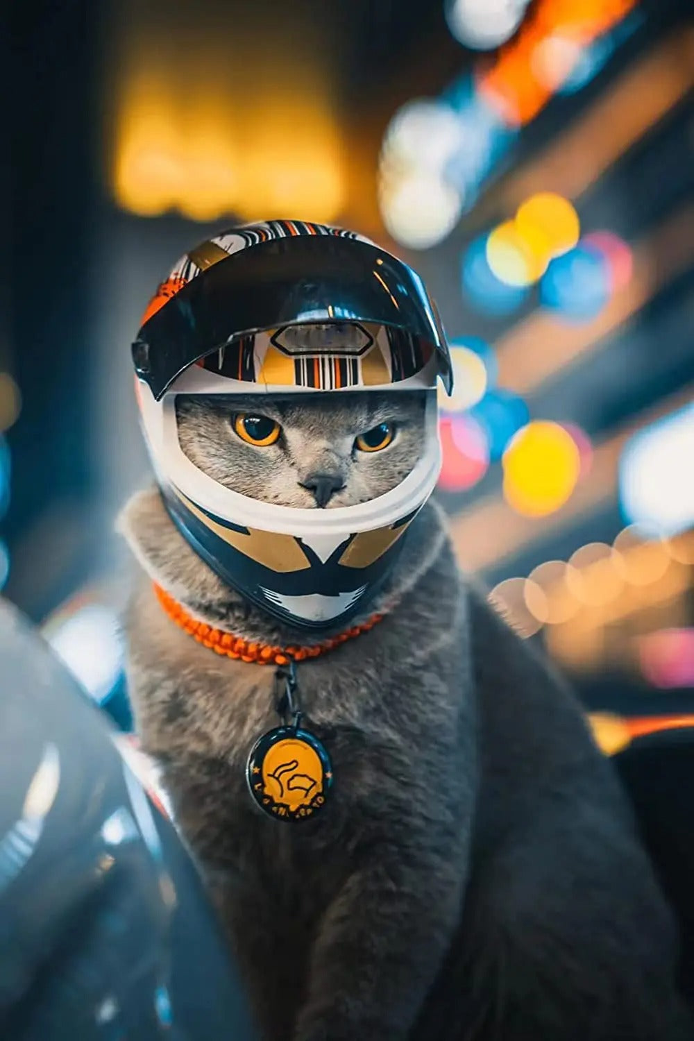 Frendorf | PetShield Motorradhelm für Haustiere | Sicherheit & Stil | Leicht & Robust | Für Hunde & Katzen