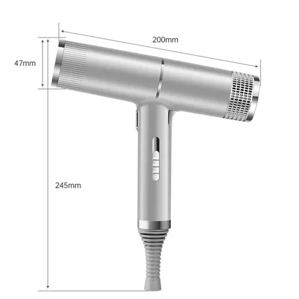 Frendorf |  Professioneller ionischer Haartrockner