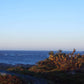 Frendorf | Louisbourg Leuchtturm An Der Küste Wandkunst
